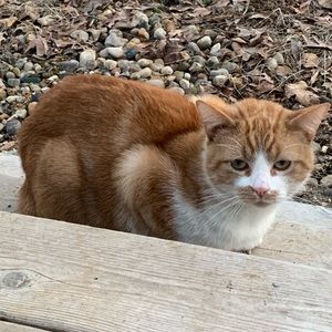 Meet your Posher, Loriane